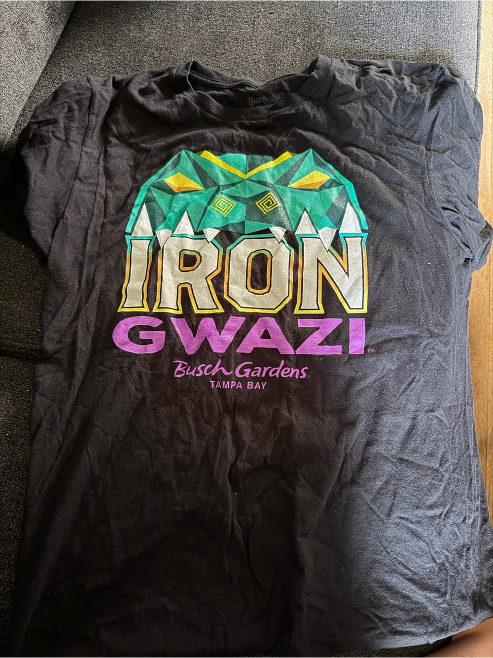 Busch Gardens Iron Gwazi Black Graphic Short Sleeve Tee